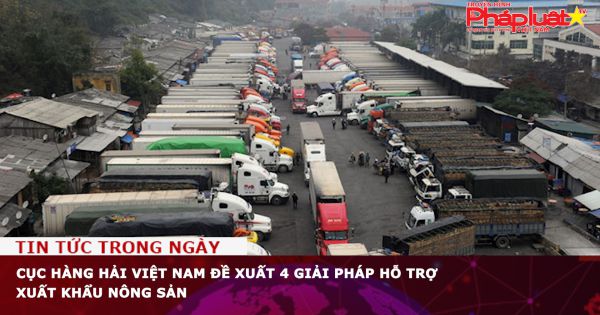 Cục Hàng hải Việt Nam đề xuất 4 giải pháp hỗ trợ xuất khẩu nông sản