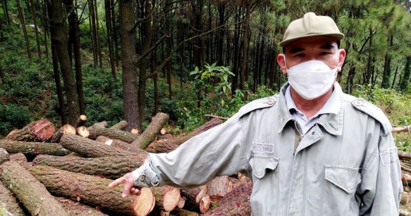 Hà Tĩnh: Tạm giữ sư trụ trì và 3 đối tượng liên quan đến việc cưa hạ thông trước cửa chùa Chân Tiên