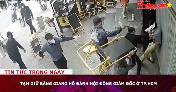 Tạm giữ băng giang hồ đánh hội đồng giám đốc ở TP.HCM
