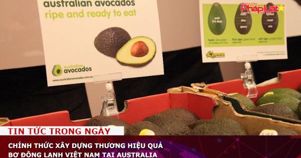 Chính thức xây dựng thương hiệu quả bơ đông lạnh Việt Nam tại Australia