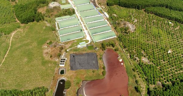 Đồng Nai: Công ty TNHH Mai Phúc Xuân Lộc “phớt lờ” các quy định về môi trường