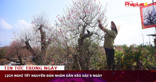 Lịch nghỉ Tết Nguyên đán Nhâm Dần kéo dài 9 ngày