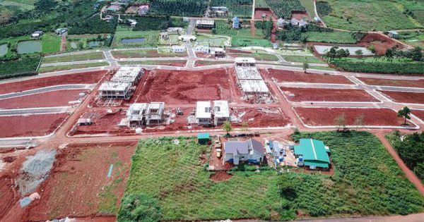 Yêu cầu tạm dừng 2 dự án cạo trọc đồi làm biệt thự tại Lâm Đồng