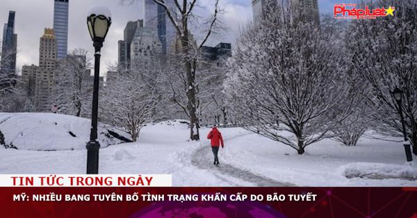 Mỹ: Nhiều bang tuyên bố tình trạng khẩn cấp do bão tuyết