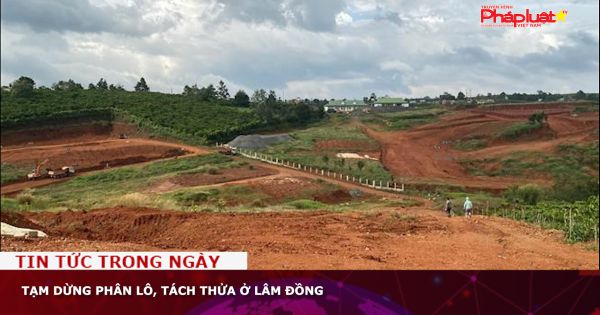 Tạm dừng phân lô, tách thửa ở Lâm Đồng