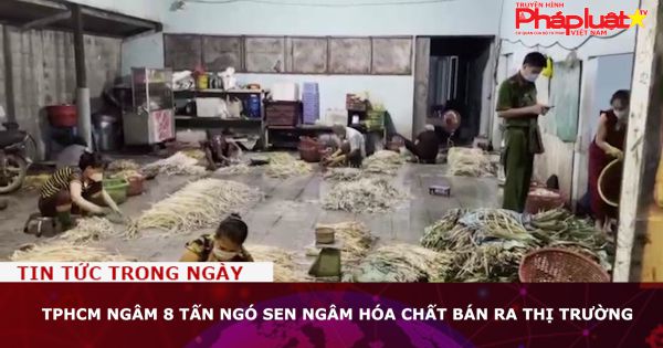 TPHCM ngâm 8 tấn ngó sen ngâm hóa chất bán ra thị trường