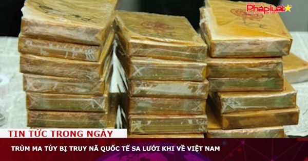 Trùm ma túy bị truy nã quốc tế sa lưới khi về Việt Nam