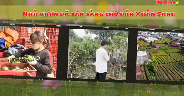 Nhà vườn Đông Nam bộ đã sẵn sàng chờ đón xuân về