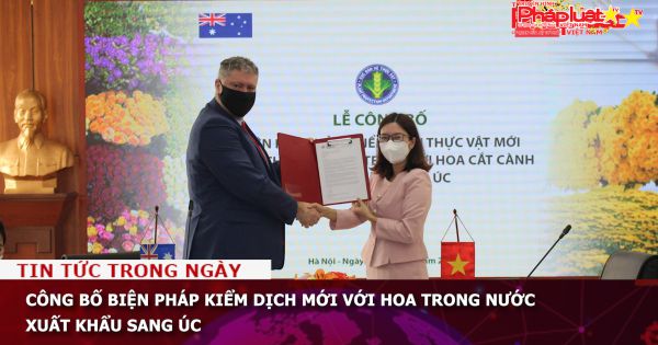 Công bố biện pháp kiểm dịch mới với hoa trong nước xuất khẩu sang Úc