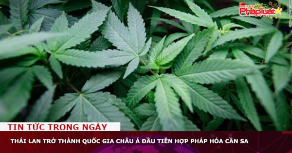 Thái Lan trở thành quốc gia châu Á đầu tiên hợp pháp hóa cần sa