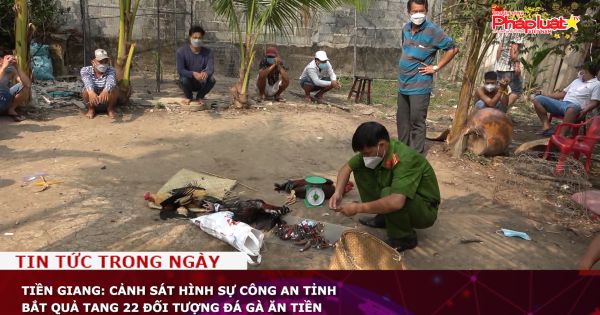 Tiền Giang: Cảnh sát hình sự Công an tỉnh bắt quả tang 22 đối tượng đá gà ăn tiền