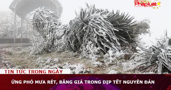 Ứng phó mưa rét, băng giá trong dịp Tết Nguyên đán
