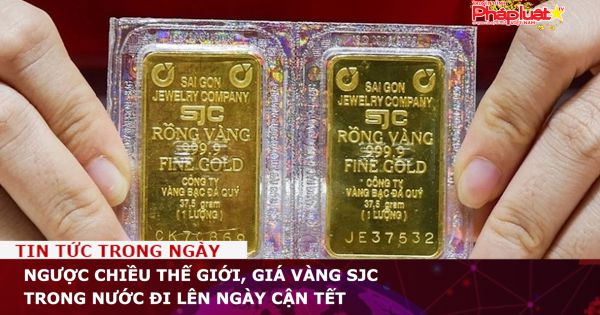 Ngược chiều thế giới, giá vàng SJC trong nước đi lên ngày cận Tết
