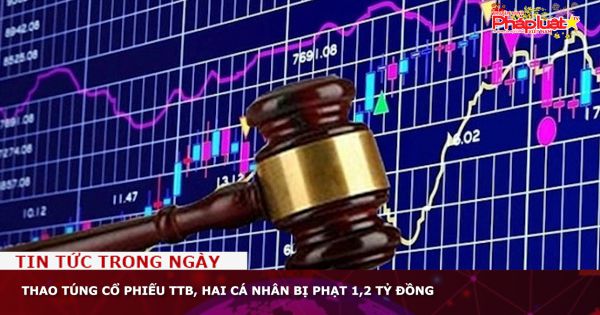 Thao túng cổ phiếu TTB, hai cá nhân bị phạt 1,2 tỷ đồng