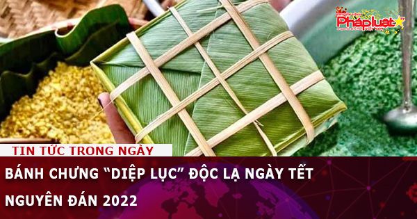 Bánh chưng “diệp lục” độc lạ ngày Tết Nguyên đán 2022
