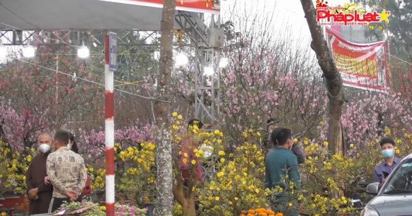 Cổ Linh, Hà Nội: Phố hoa , rực rỡ sắc màu, tấp nập người mua bán ngày cận Tết