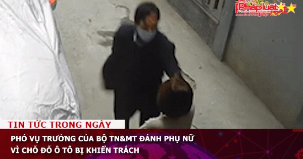 Phó vụ trưởng của Bộ Tài nguyên Môi trường đánh phụ nữ vì chỗ đỗ ô tô, bị khiển trách