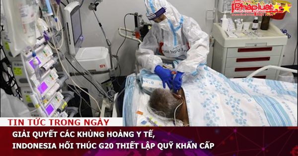 Giải quyết các khủng hoảng y tế, Indonesia hối thúc G20 thiết lập quỹ khẩn cấp