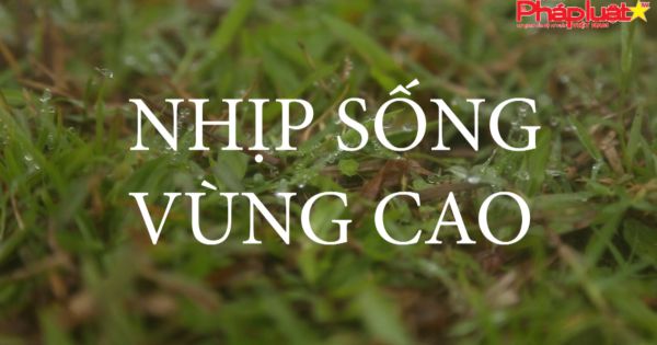 NHỊP SỐNG VÙNG CAO : Pả Dung - Tiếng lòng của người Dao