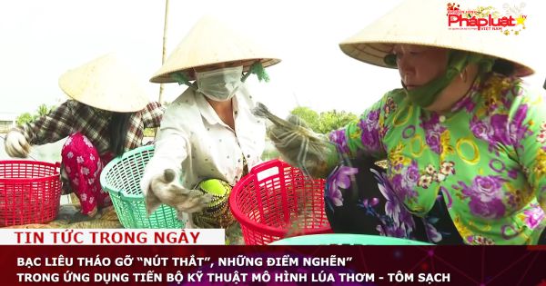 Bạc Liêu tháo gỡ “nút thắt”, những điểm nghẽn” trong ứng dụng tiến bộ kỹ thuật mô hình lúa thơm - tôm sạch