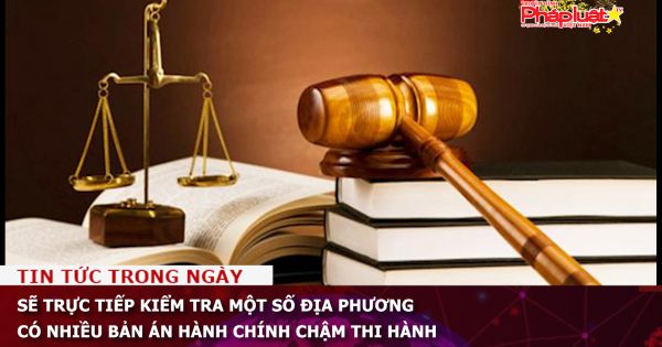 Sẽ trực tiếp kiểm tra một số địa phương có nhiều bản án hành chính chậm thi hành