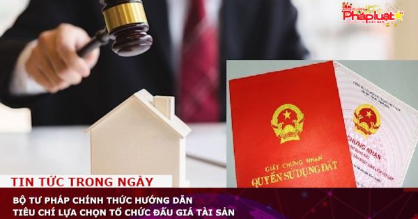 Bộ Tư pháp chính thức hướng dẫn tiêu chí lựa chọn tổ chức đấu giá tài sản