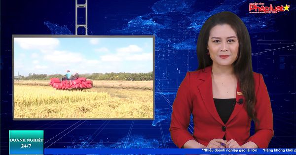 Bản tin Doanh nghiệp 24/7 ngày 22/2/2022