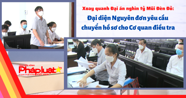 Đại án Mũi Đèn Đỏ: Đại diện Nguyên đơn yêu cầu chuyển hồ sơ cho Cơ quan điều tra