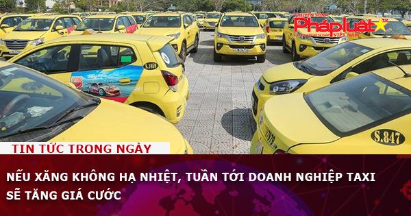 Nếu xăng không hạ nhiệt, tuần tới doanh nghiệp taxi sẽ tăng giá cước