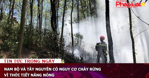 Nam bộ và Tây Nguyên có nguy cơ cháy rừng vì thời tiết nắng nóng