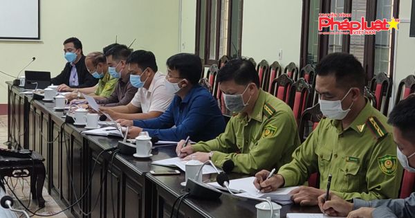 Vị Xuyên - Hà Giang: Không được khai thác rừng mặc dù nằm trong diện được khai thác (kỳ2)