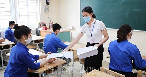 Khảo sát năng lực đầu vào lớp 6 tại TP Hồ Chí Minh và Hà Nội