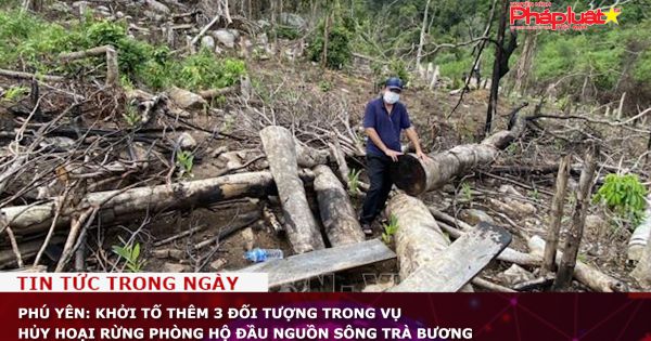 Phú Yên: Khởi tố thêm 3 đối tượng trong vụ hủy hoại rừng phòng hộ đầu nguồn sông Trà Bương