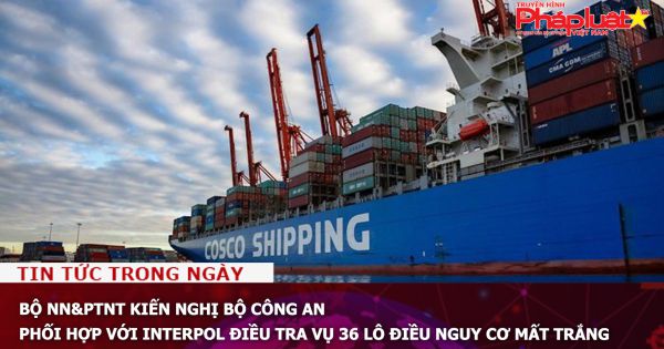 Bộ NN&PTNT kiến nghị Bộ Công an phối hợp với Interpol điều tra vụ 36 lô điều nguy cơ mất trắng