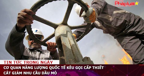 Cơ quan Năng lượng Quốc tế kêu gọi cấp thiết cắt giảm nhu cầu dầu mỏ