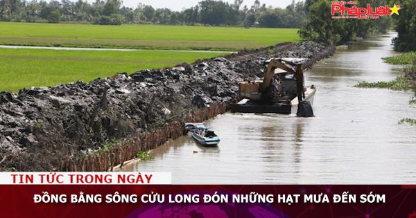 Đồng bằng sông Cửu Long đón những hạt mưa đến sớm
