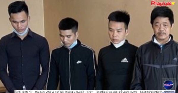 Nghệ An: Bắt nhóm chuyên sử dụng xe máy kéo để trộm gỗ