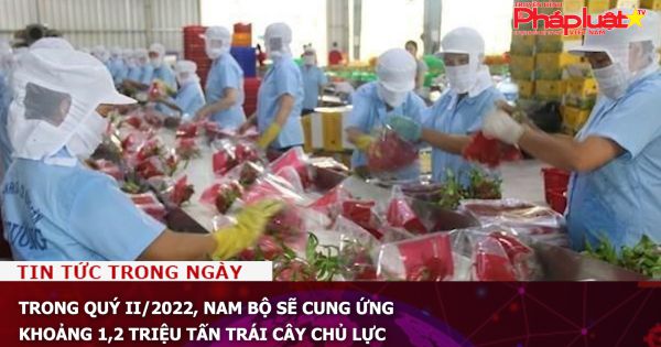 Trong quý II/2022, Nam Bộ sẽ cung ứng khoảng 1,2 triệu tấn trái cây chủ lực