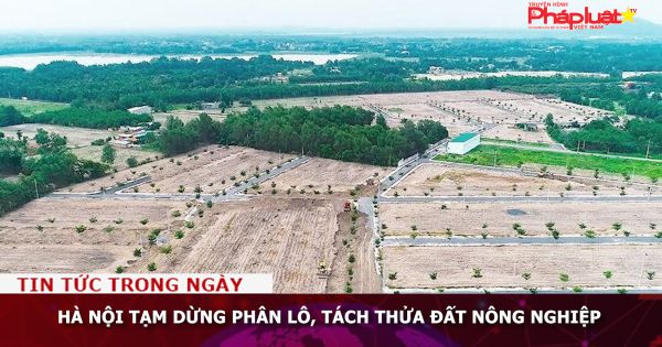 Hà Nội tạm dừng phân lô, tách thửa đất nông nghiệp