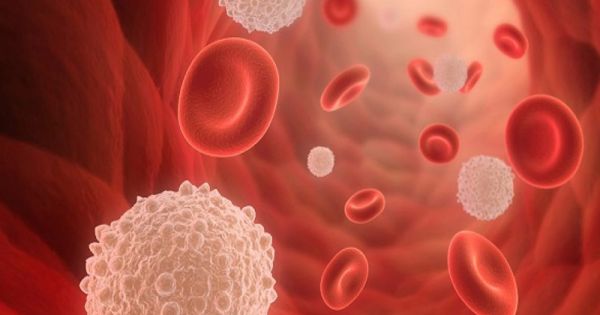 Bệnh viện TW Huế lần đầu tiên thực hiện thành công ca gạn tách bạch cầu trẻ em tại Miền Trung - Tây Nguyên