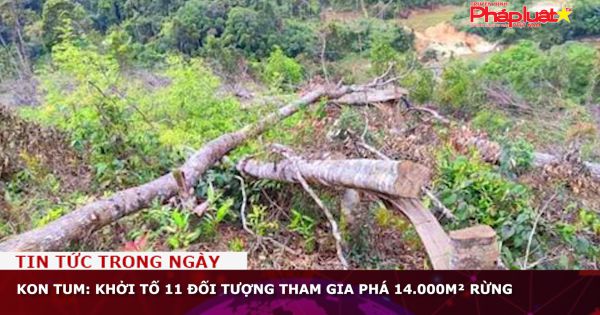 Kon Tum: Khởi tố 11 đối tượng tham gia phá 14.000m² rừng