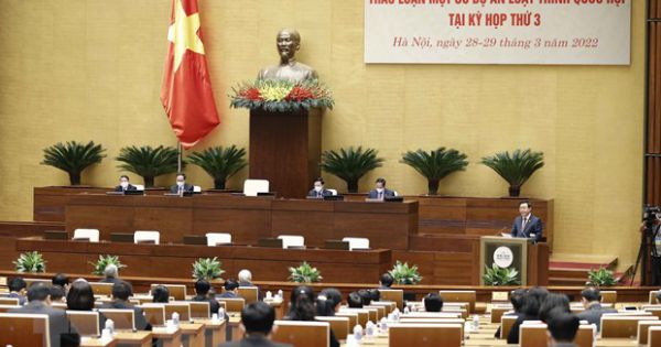 Dự thảo Luật Sở hữu trí tuệ (sửa đổi) bổ sung quy định “Không được ngăn chặn, cản trở việc phổ biến, sử dụng Quốc kỳ, Quốc ca”