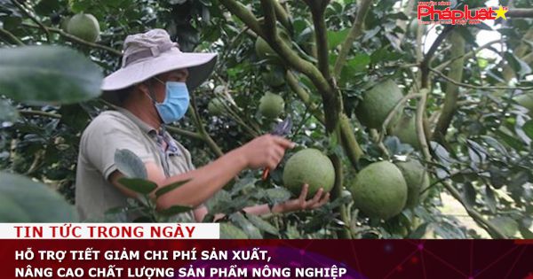 Hỗ trợ tiết giảm chi phí sản xuất, nâng cao chất lượng sản phẩm nông nghiệp