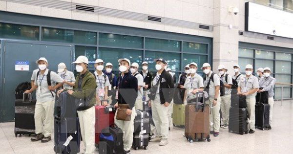 Việt Nam bị Hàn Quốc rút khỏi danh sách các quốc gia tăng cường kiểm dịch