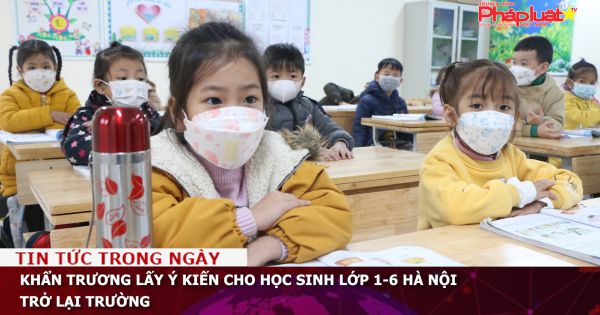 Lấy ý kiến cho học sinh lớp 1-6 Hà Nội trở lại trường
