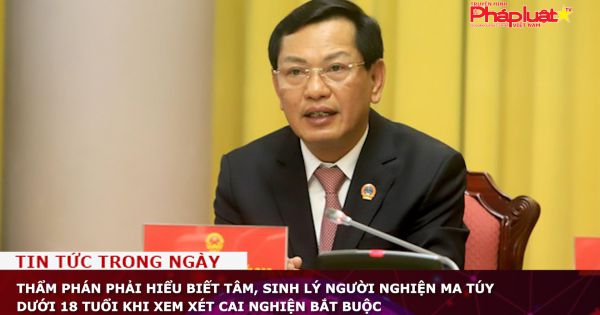 Thẩm phán phải hiểu biết tâm, sinh lý người nghiện ma túy dưới 18 tuổi khi xem xét cai nghiện bắt buộc