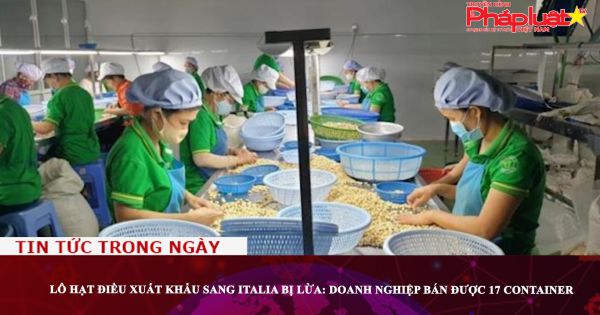 Lô hạt điều xuất khẩu sang Italia bị lừa: Doanh nghiệp bán được 17 container