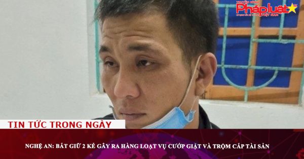 Nghệ An: Bắt giữ 2 kẻ gây ra hàng loạt vụ cướp giật và trộm cắp tài sản