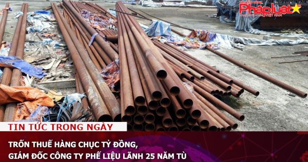 Trốn thuế hàng chục tỷ đồng, giám đốc công ty phế liệu lãnh 25 năm tù