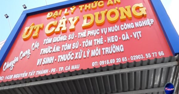 Vụ DNTN Ngã Ba Cây Dương Kì 2: Vì đâu “án khó thi hành”?